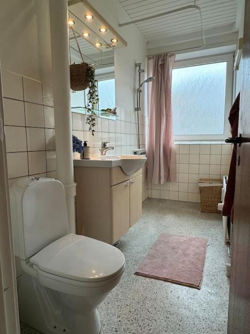 Stor Og Lys Lejlighed I Hjertet Af Holstebro Exterior foto