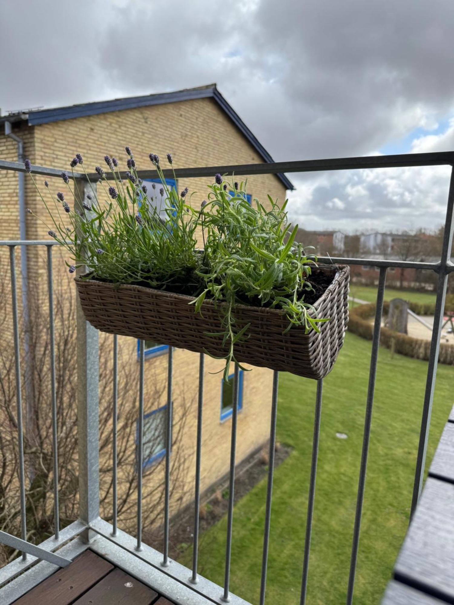 Stor Og Lys Lejlighed I Hjertet Af Holstebro Exterior foto